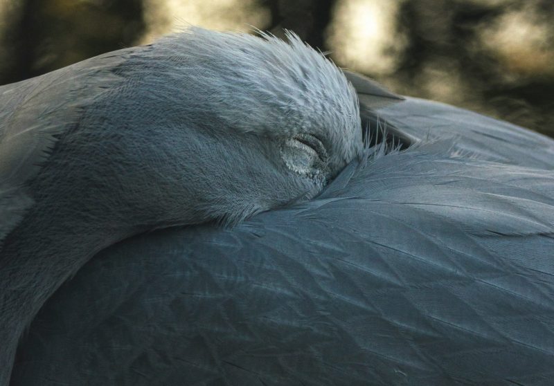 inga-gaile-u3pvdh2EfEk-unsplash